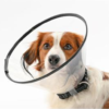 Elizabeth Surgery Collar 7 Set