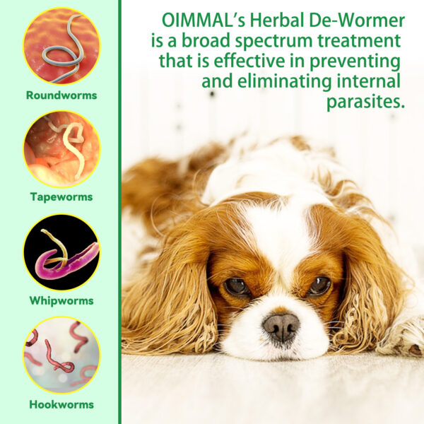 Liquid Dewormer - Image 3