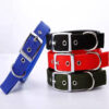 Dog Collar - Image 3