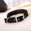Dog Collar - Image 5