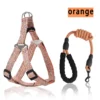 Dog Harness Set - Image 5