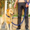 Dog Heavy  Collar & Leash - Image 5