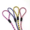 Dog Leash 12mm x 48″ - Image 6