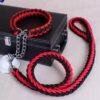 Dog Heavy  Collar & Leash