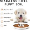 Pet Saucer ( Feeding Bowl) - Image 2