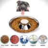 Pet Saucer ( Feeding Bowl)