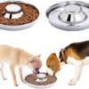 Pet Saucer ( Feeding Bowl) - Image 6