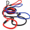 Dog Training Leash