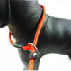 Dog Training Leash - Image 4
