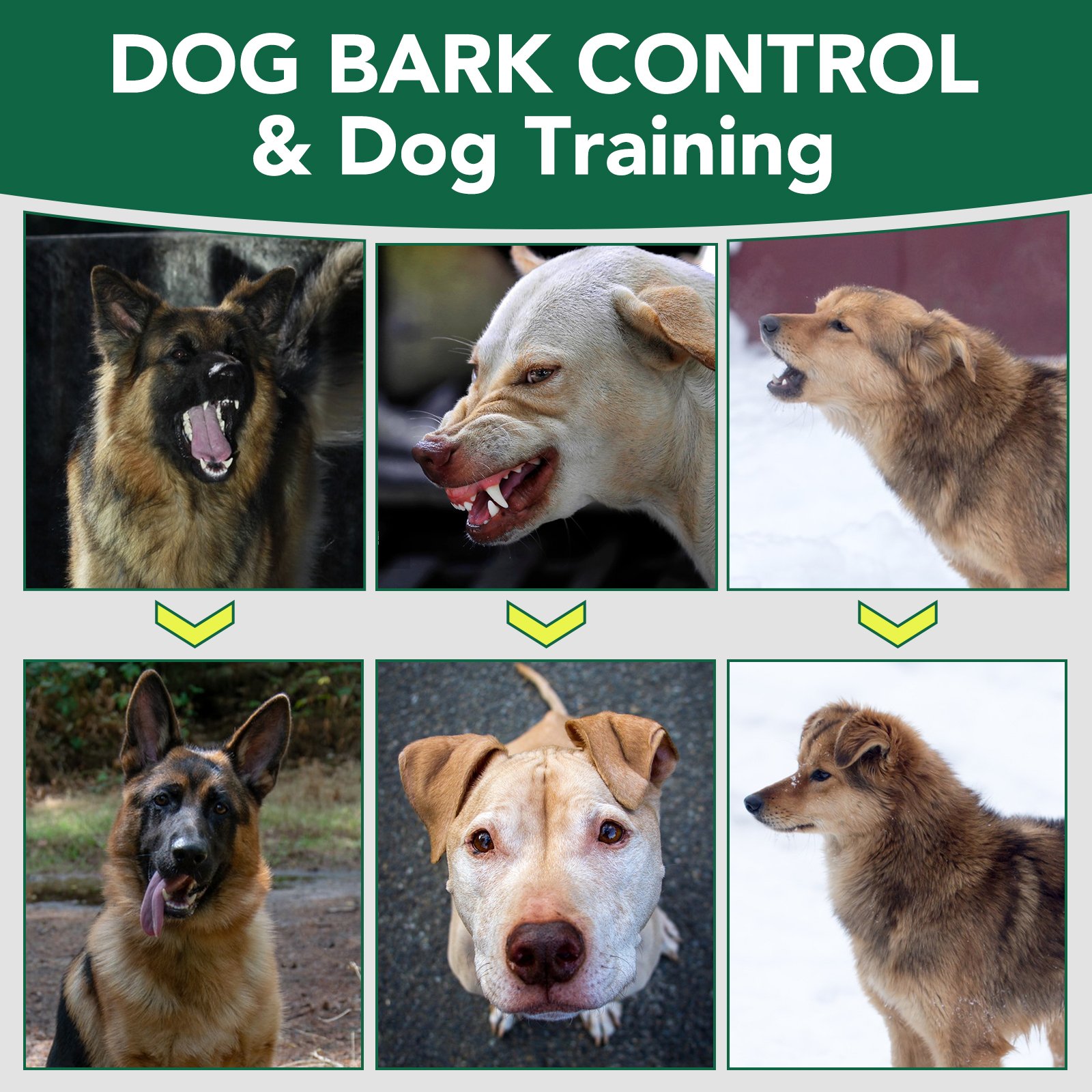 Dog Barking Device - Image 2