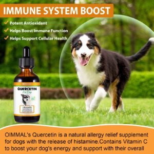 Quercetin for Dogs