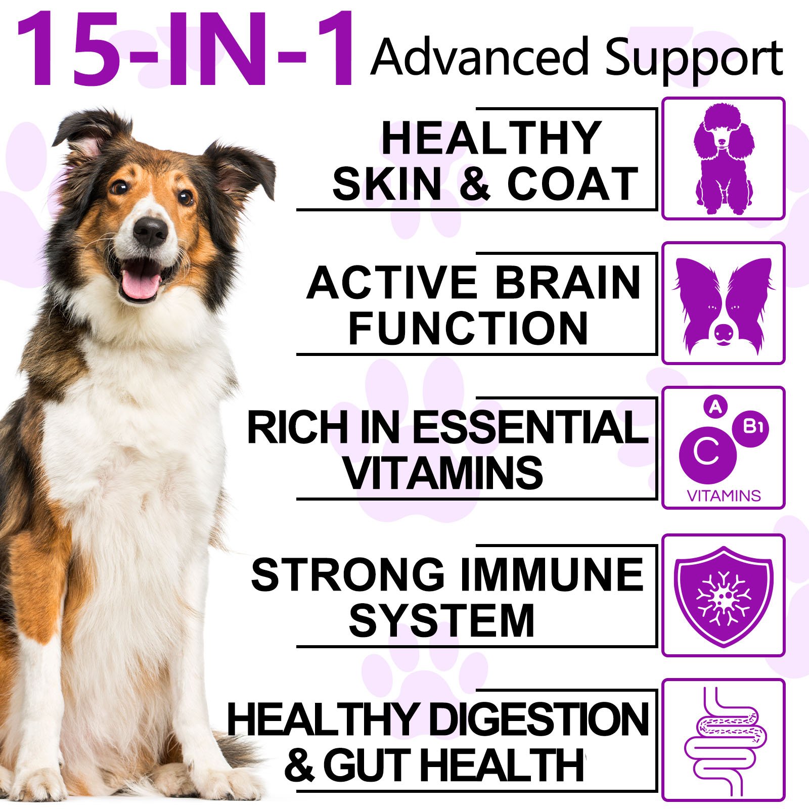 15 in 1 Multivitamin Chew - Image 5