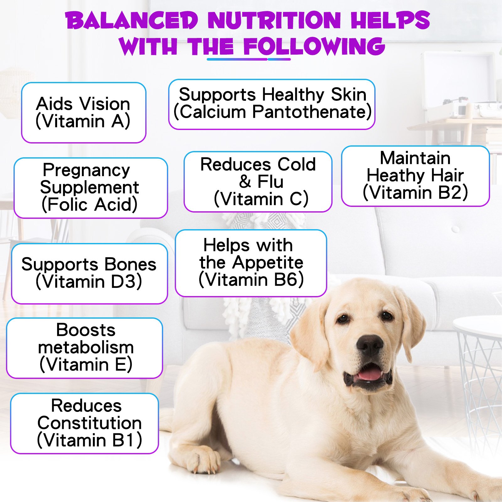 15 in 1 Liquid Multivitamin for Dogs - Image 12