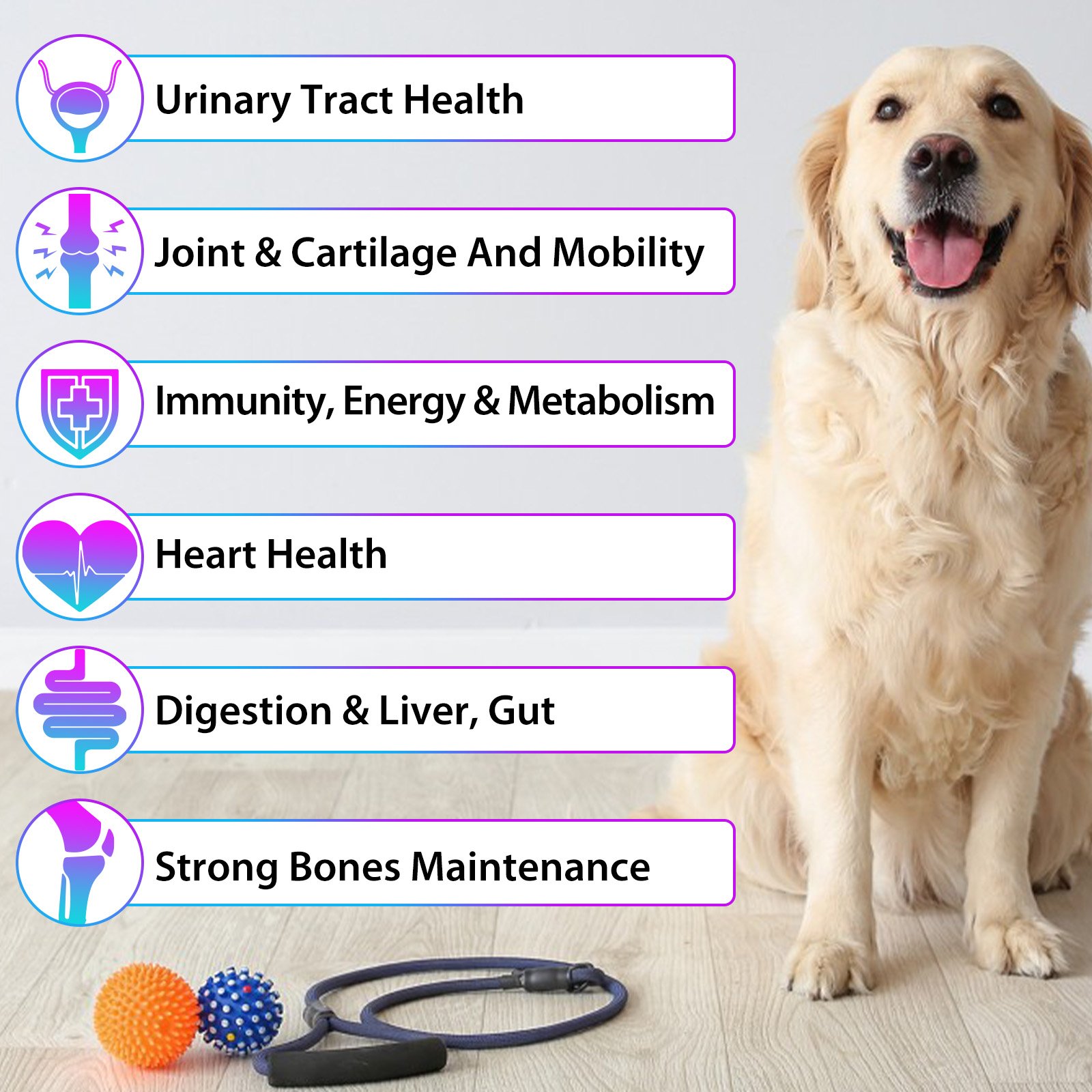 15 in 1 Liquid Multivitamin for Dogs - Image 8