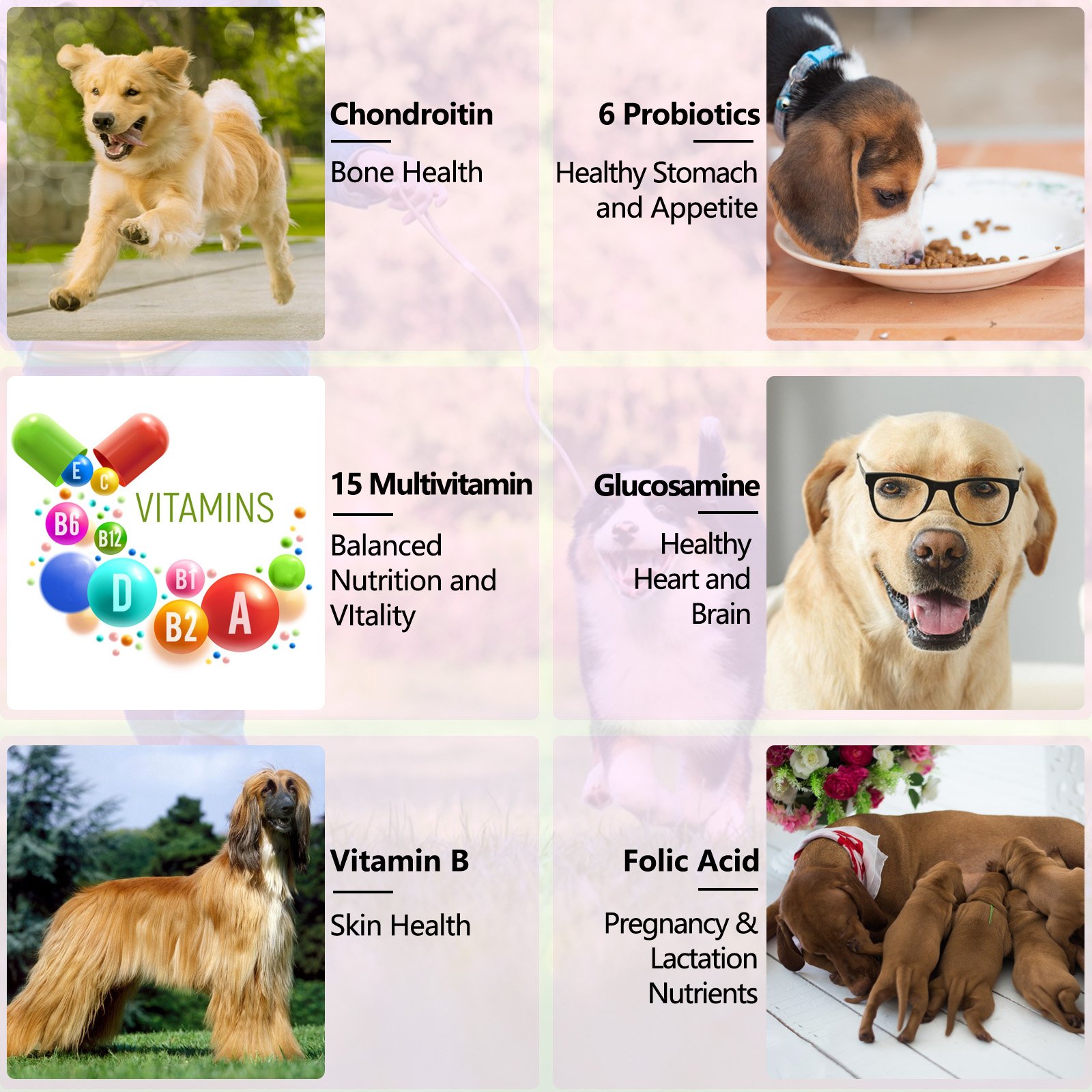 15 in 1 Liquid Multivitamin for Dogs - Image 5