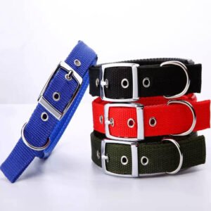 Dog Collar