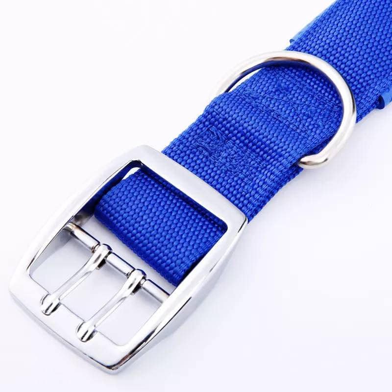 Dog Collar - Image 2