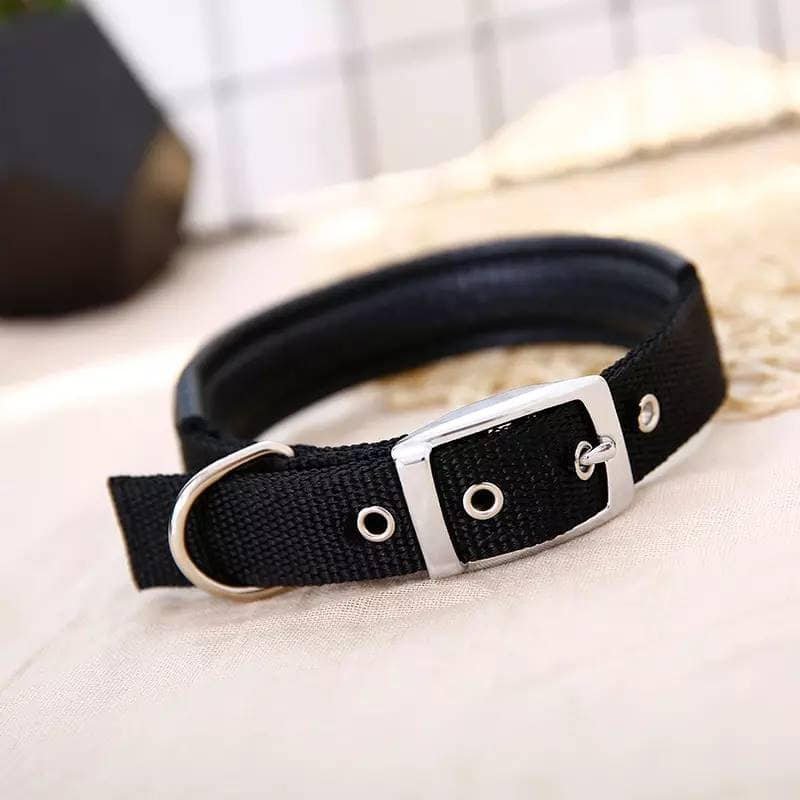 Dog Collar - Image 4