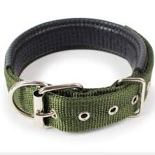 Dog Collar - Image 7