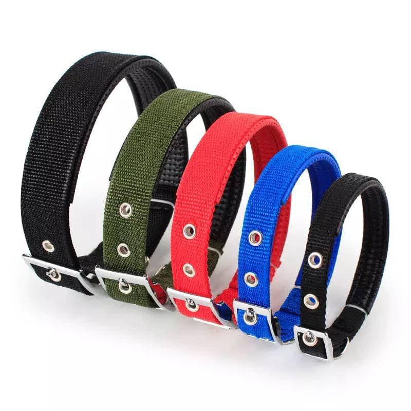 Dog Collar - Image 5