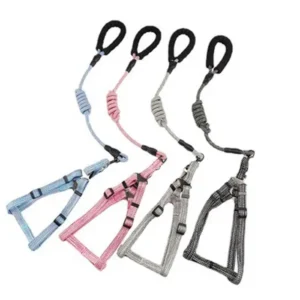 Harness + Leash