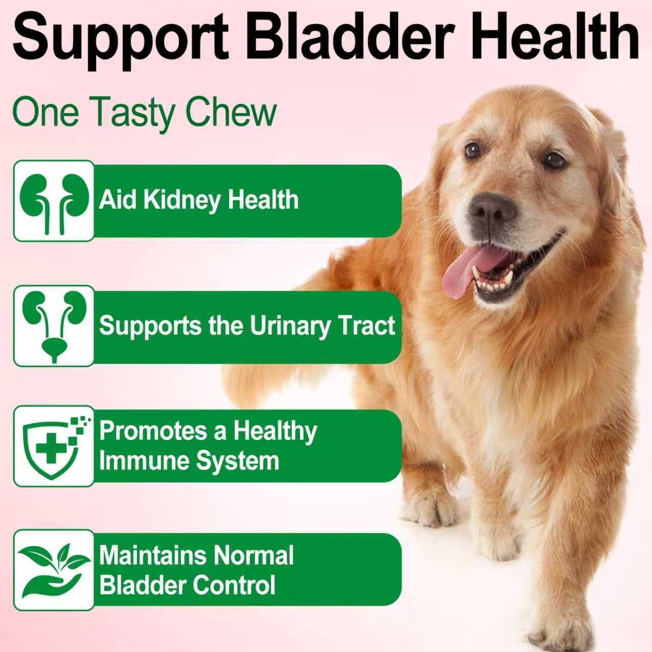 Dog Urinary Track Treatment - Image 9