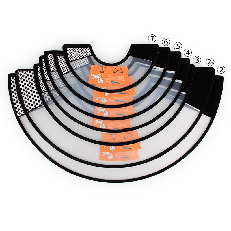 Elizabeth Collar - Image 8