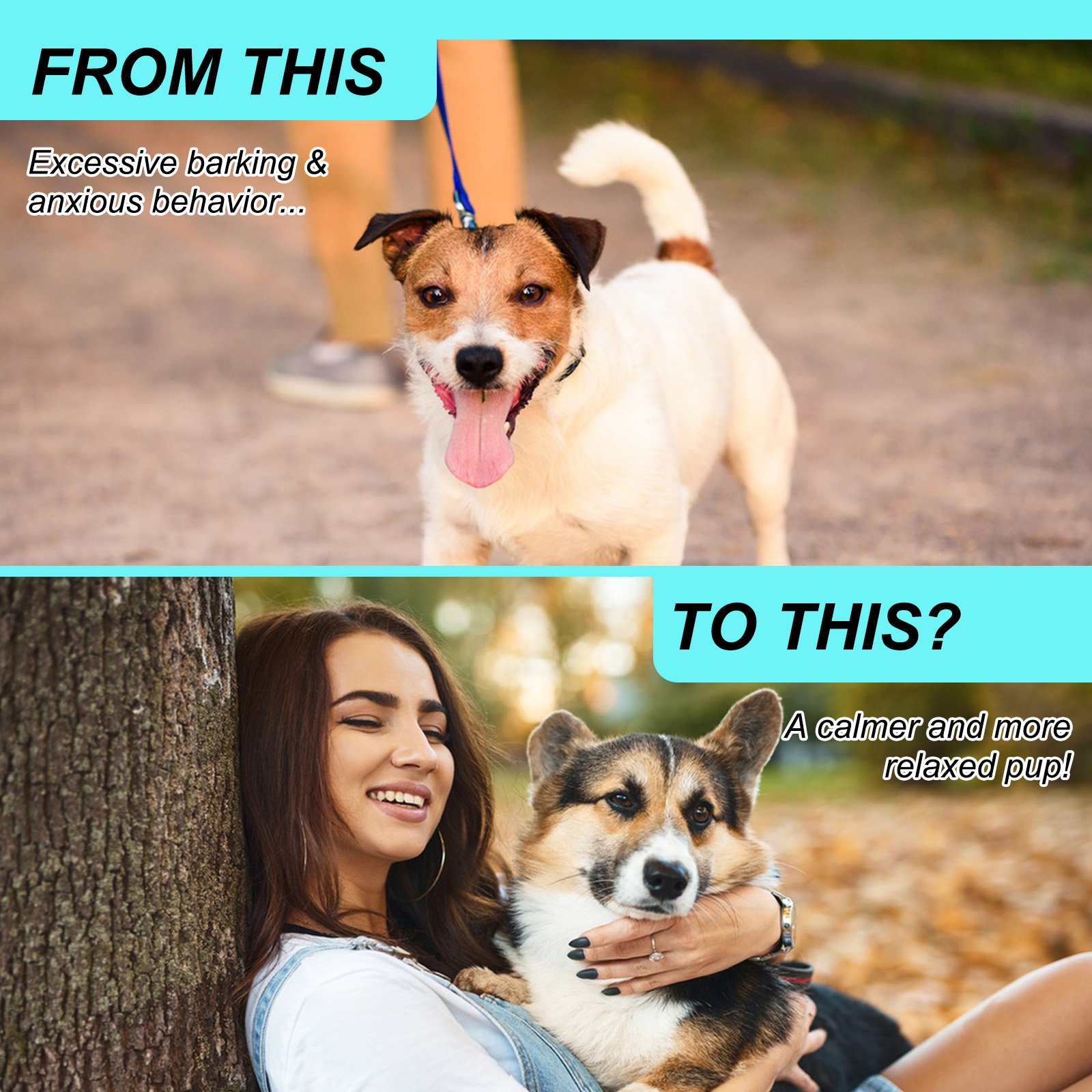 Hemp Calming Chew - Image 12