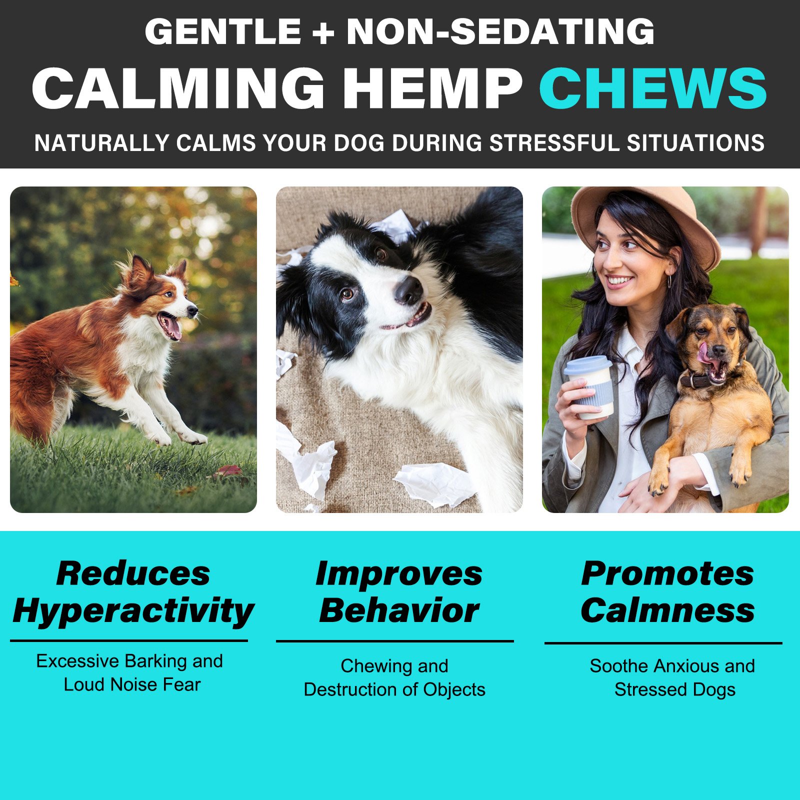 Hemp Calming Chew - Image 7