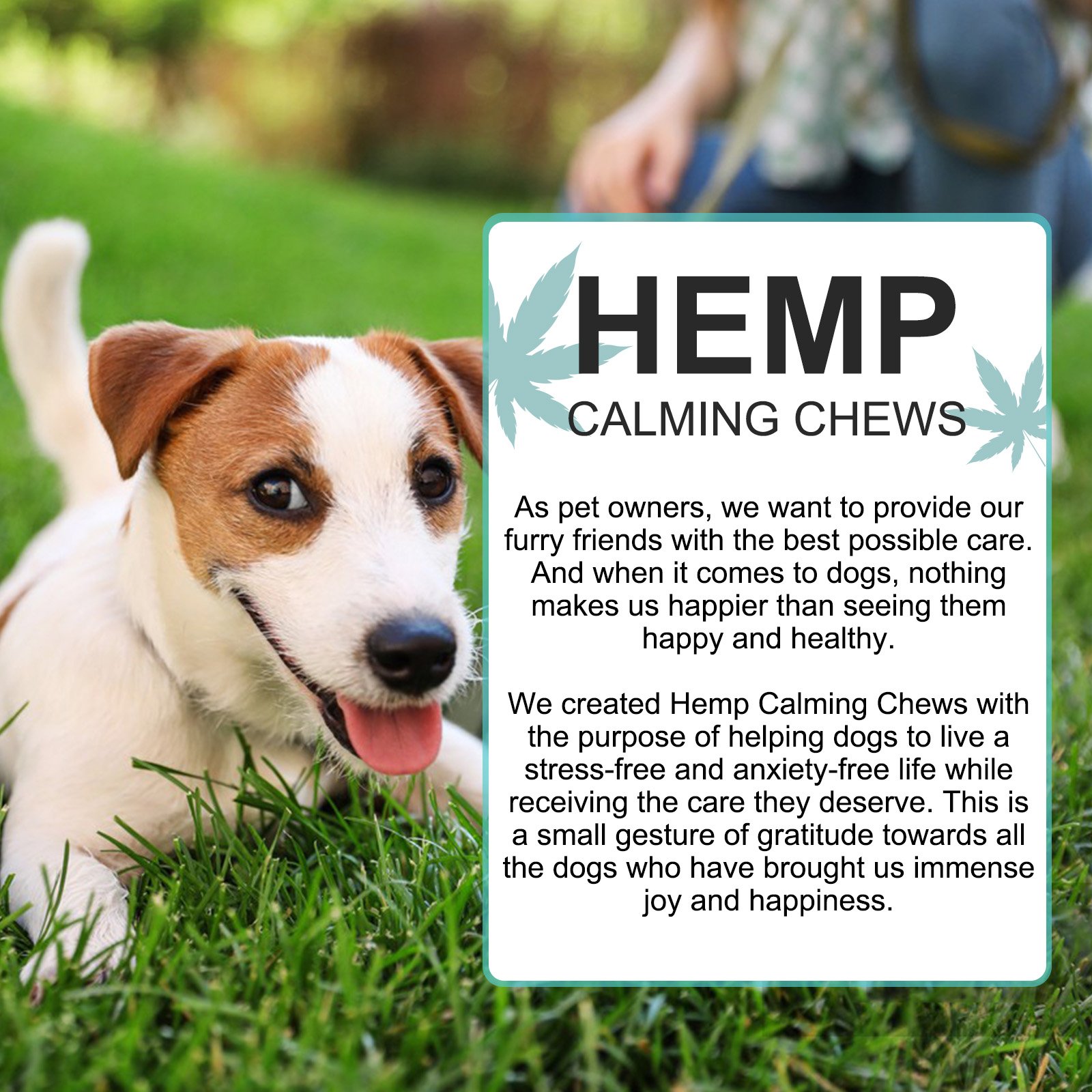 Hemp Calming Chew - Image 8