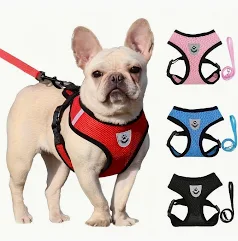 Air-Mesh Harness