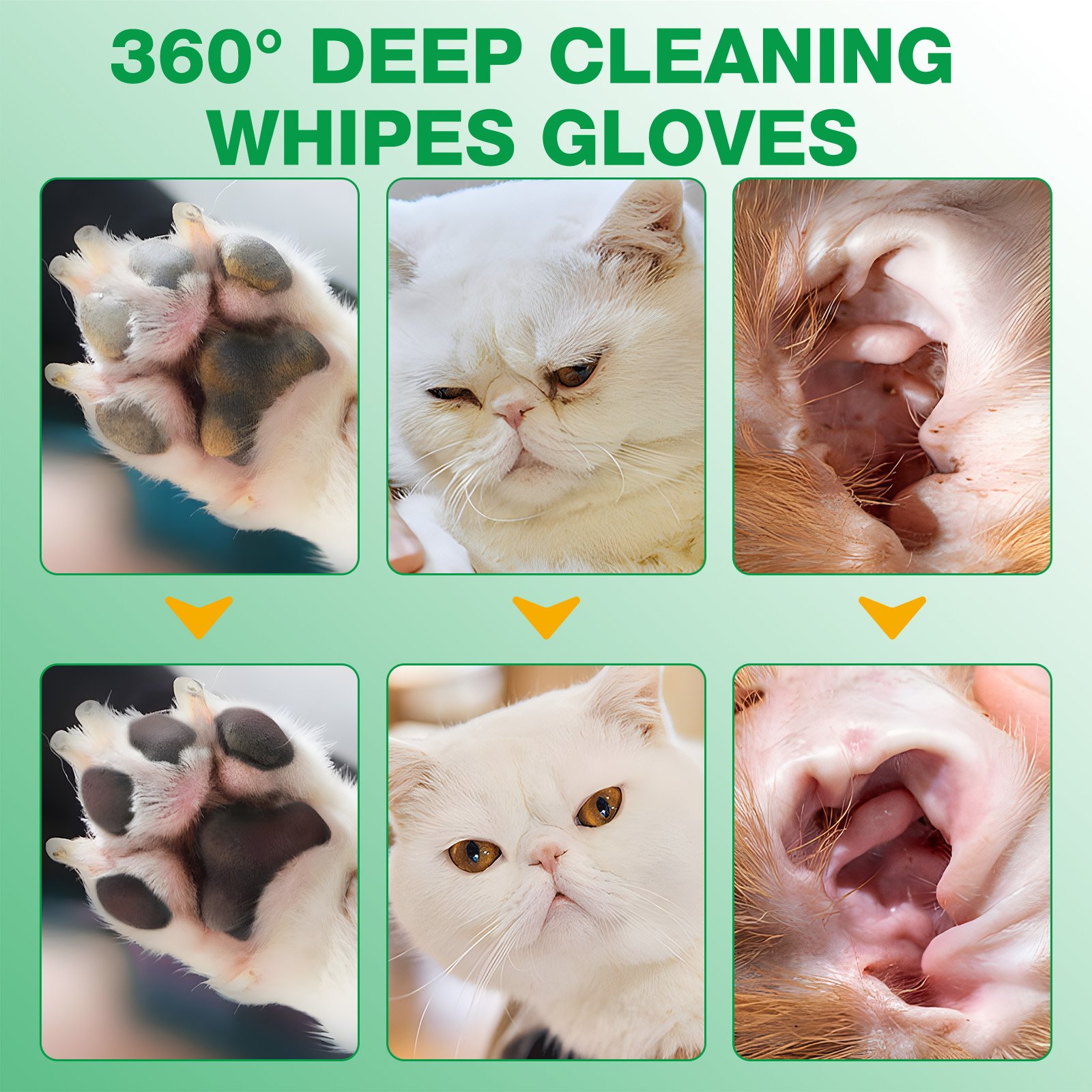 Pet Wipes - Image 2