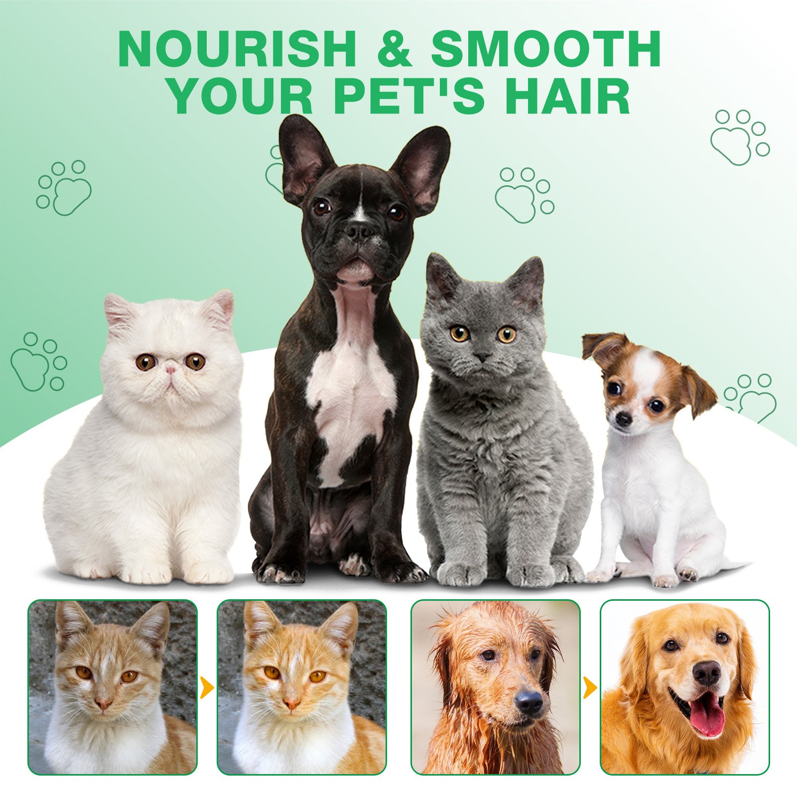Pet Wipes - Image 9
