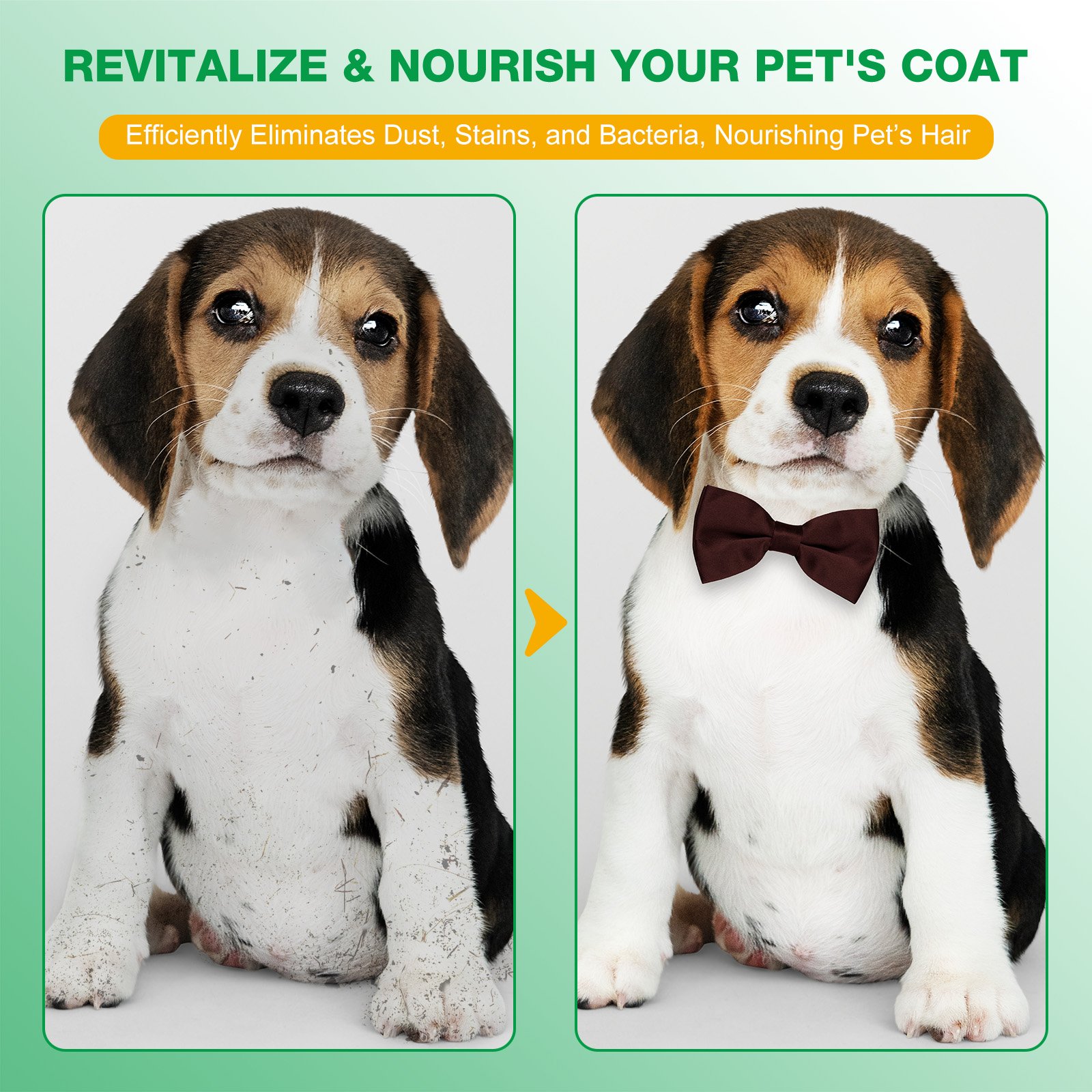 Pet Wipes - Image 7