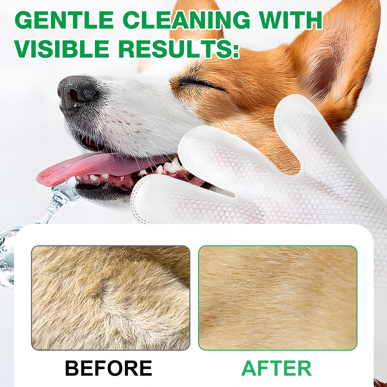 Pet Wipes - Image 6