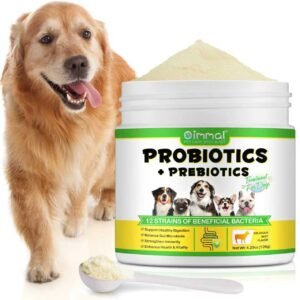 Probiotic Powder