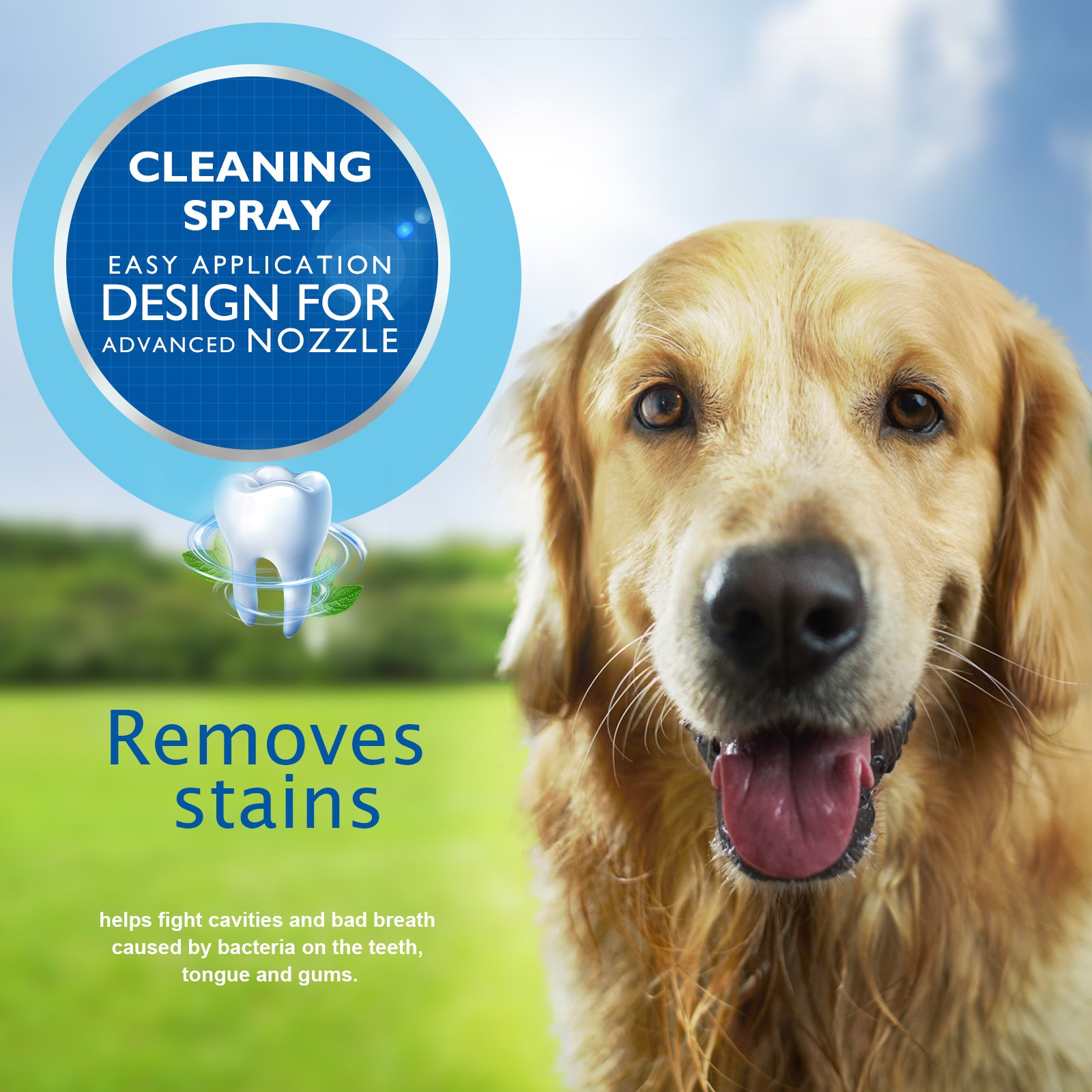 Teeth Cleaning Spray - Image 11