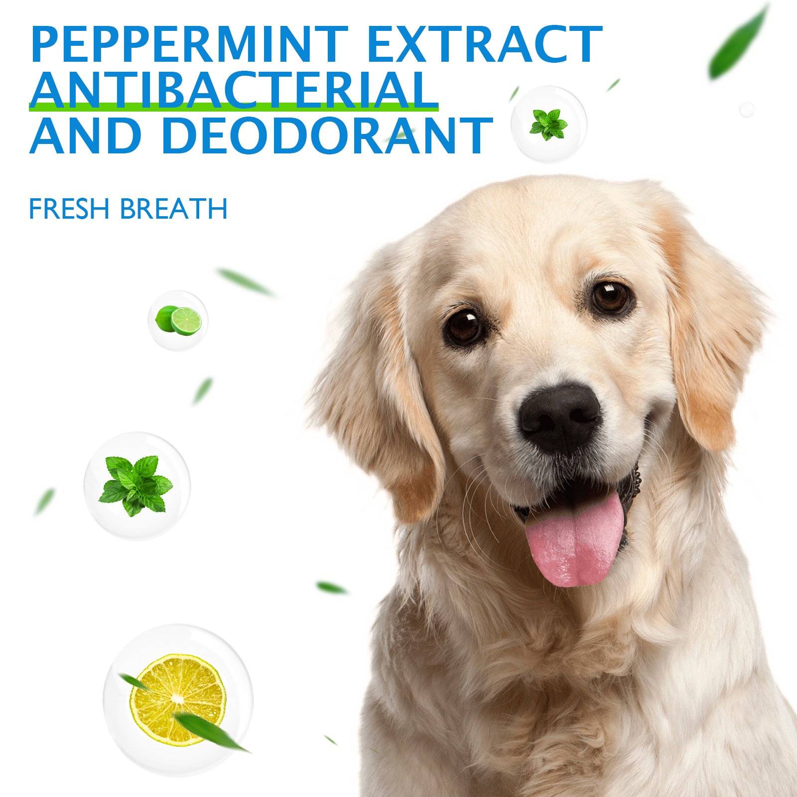 Teeth Cleaning Spray - Image 8