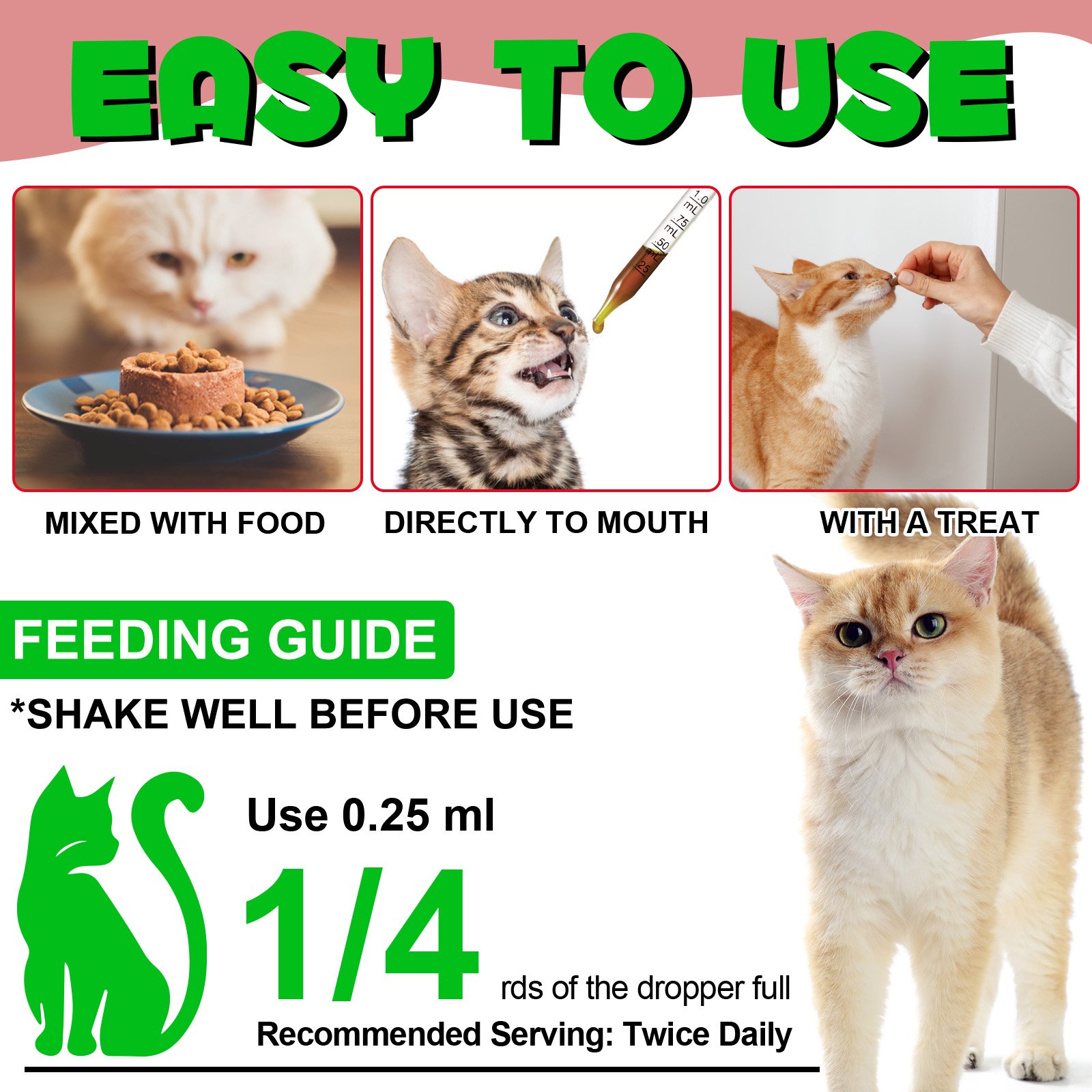 Cat Urinary Track - Image 6