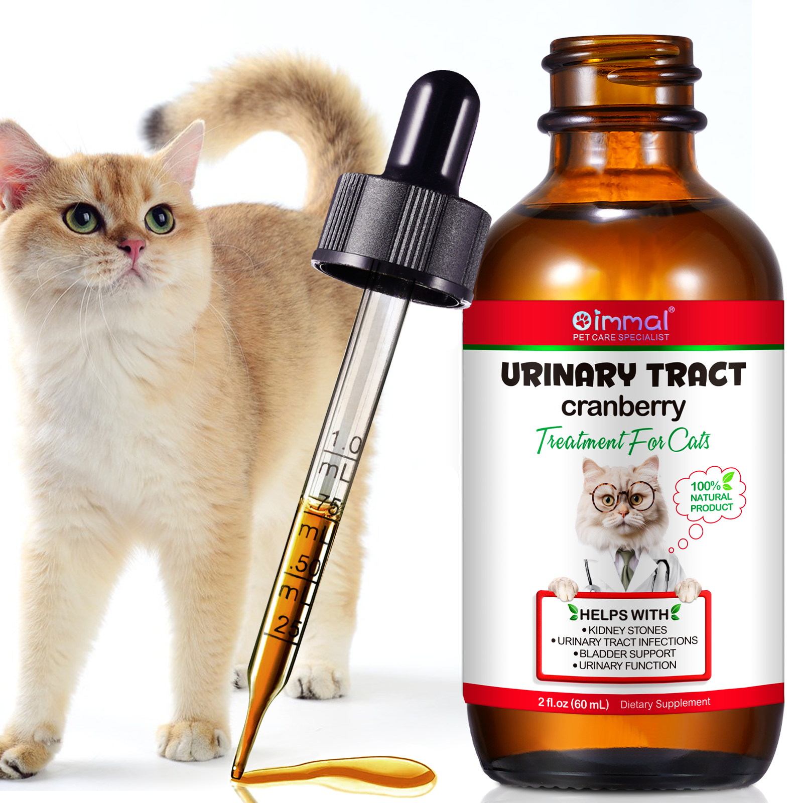 Cat Urinary Track - Image 4