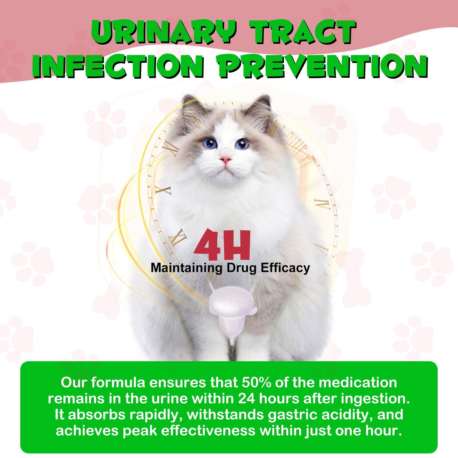 Cat Urinary Track - Image 3