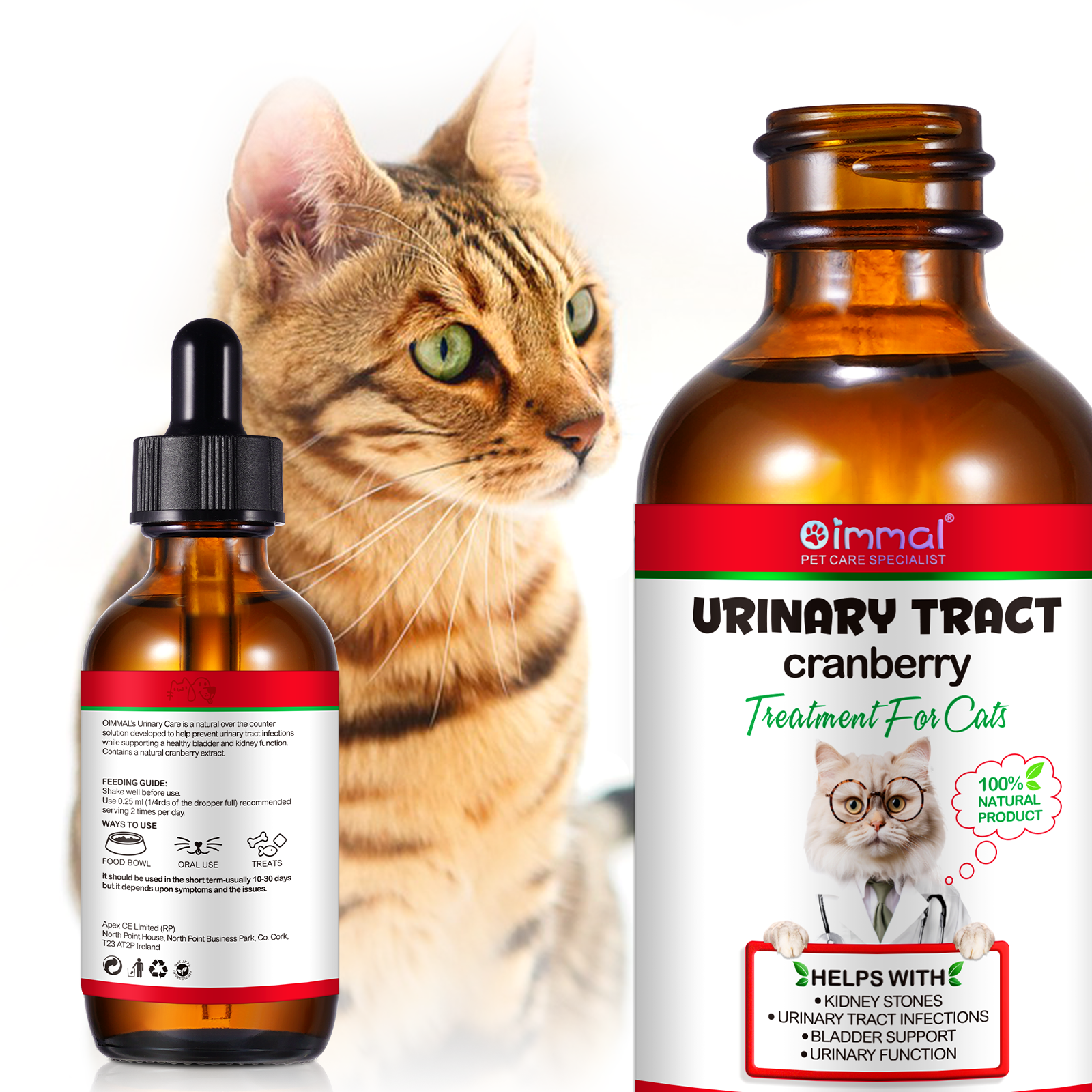 Cat Urinary Track - Image 2