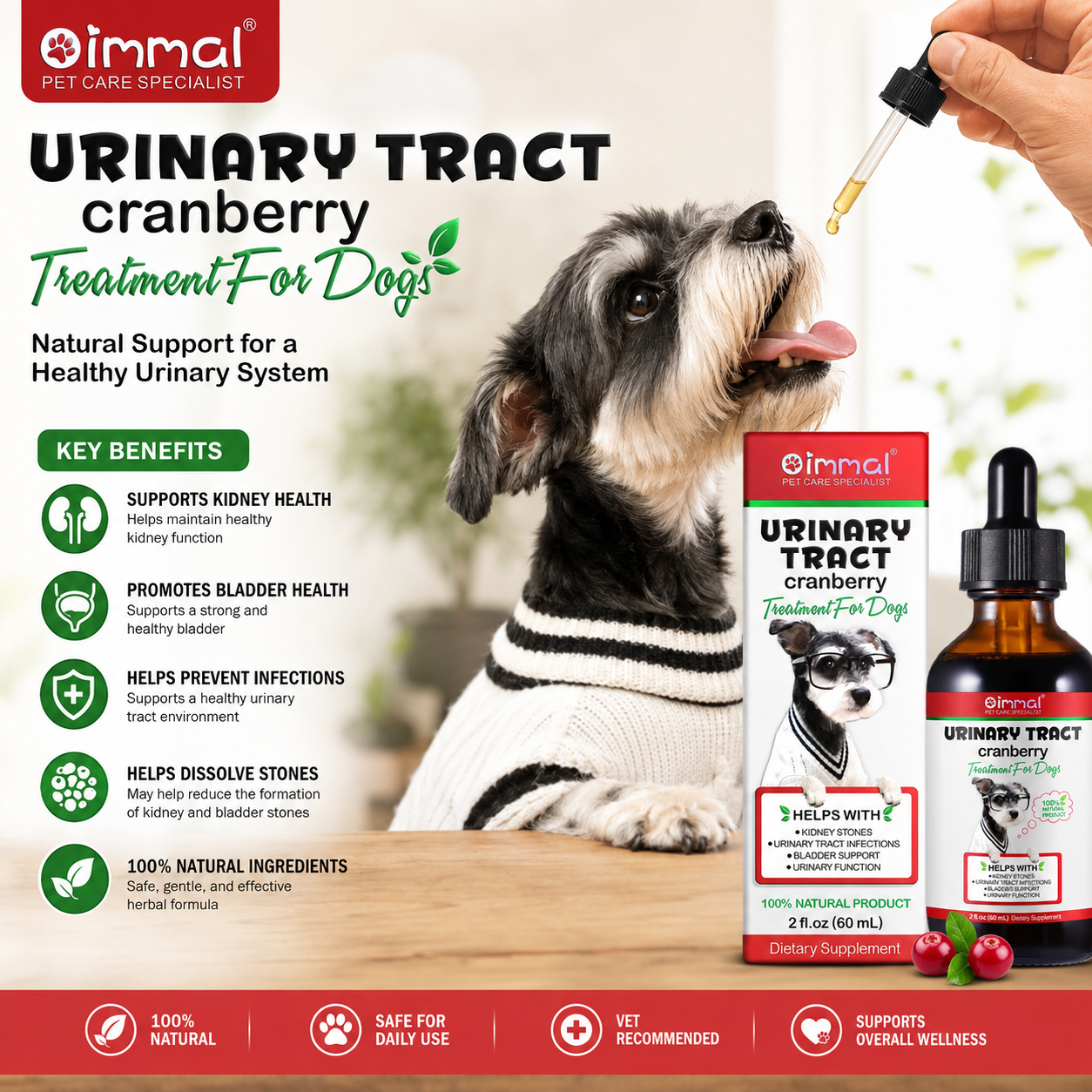 Dog Urinary Track Treatment