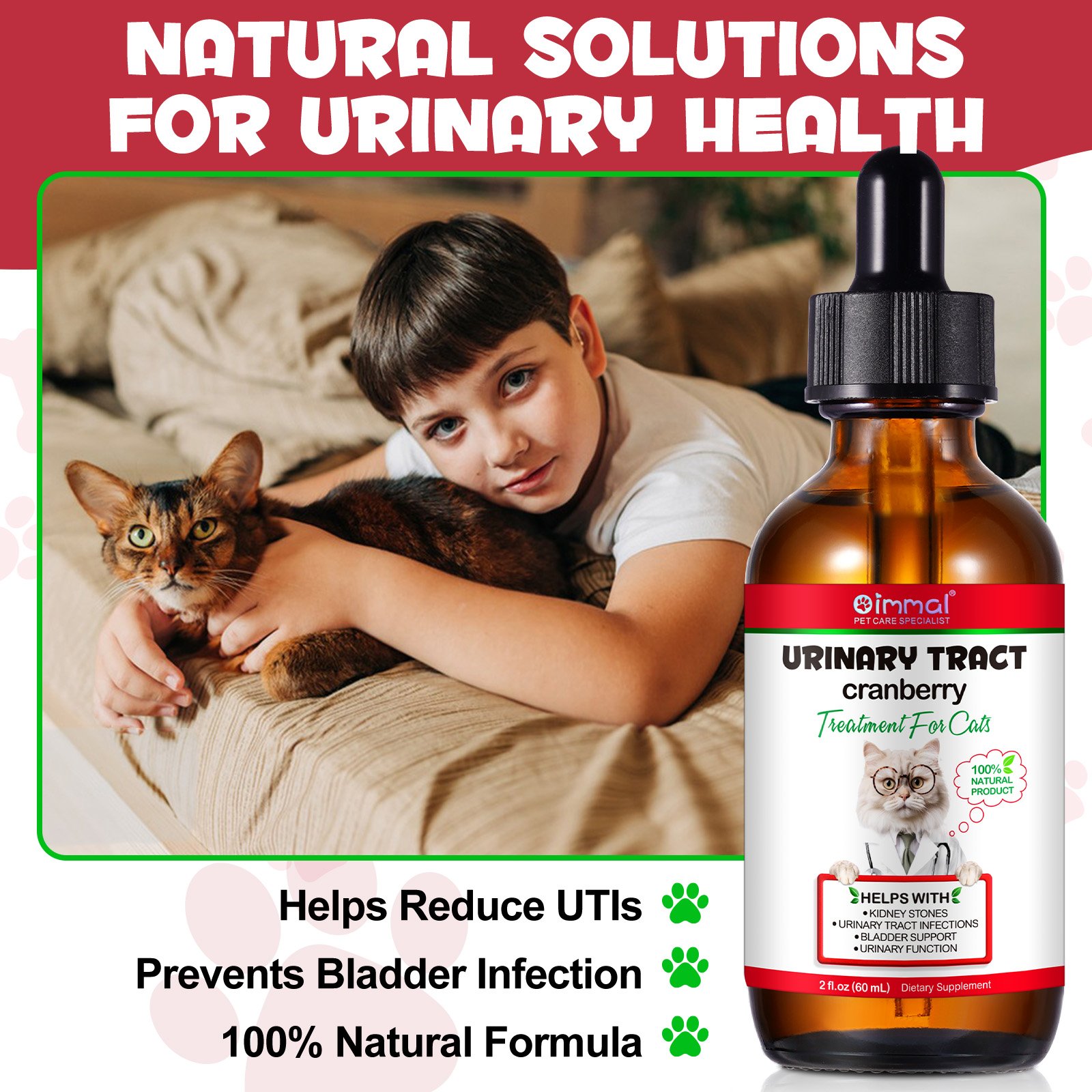 Cat Urinary Track - Image 13