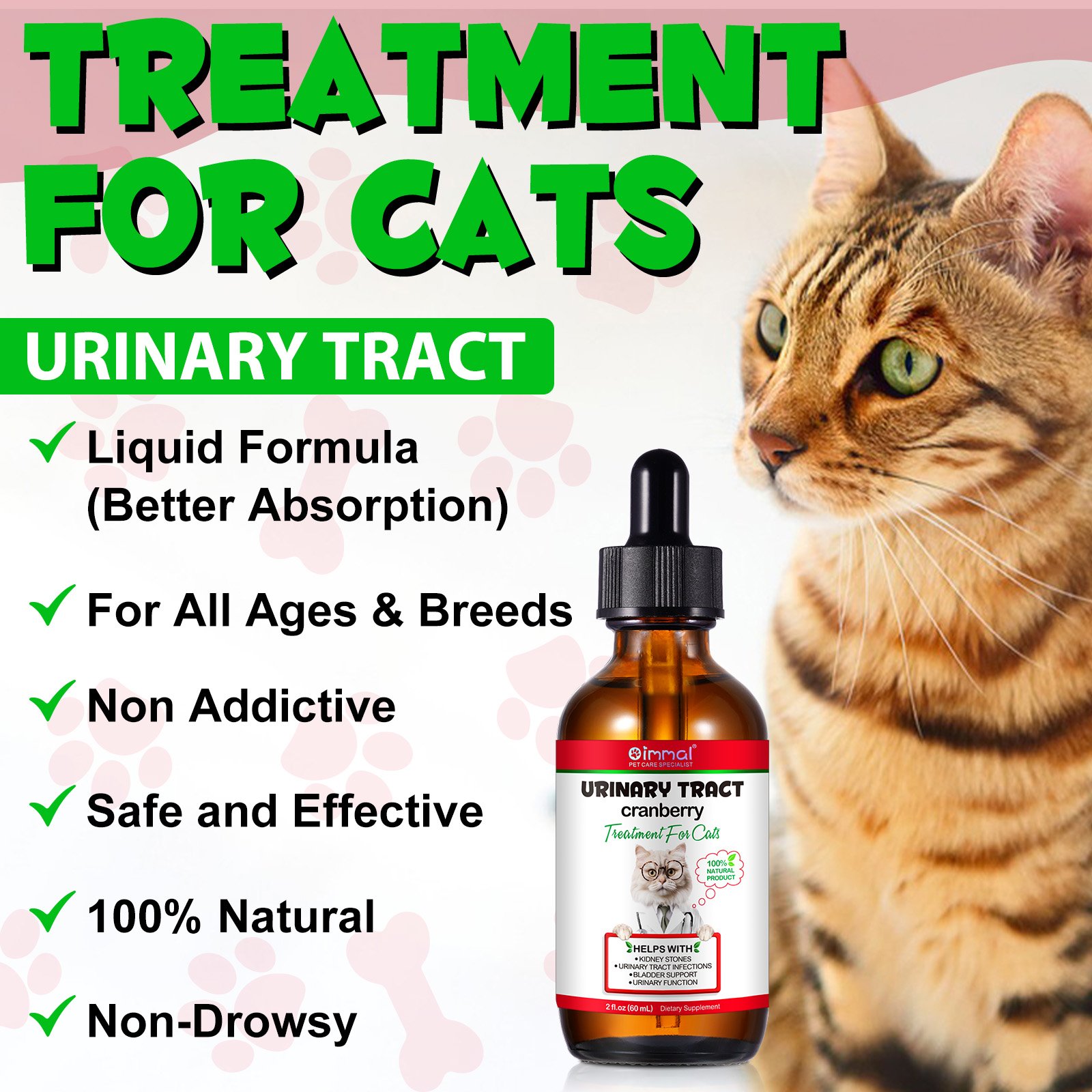 Cat Urinary Track