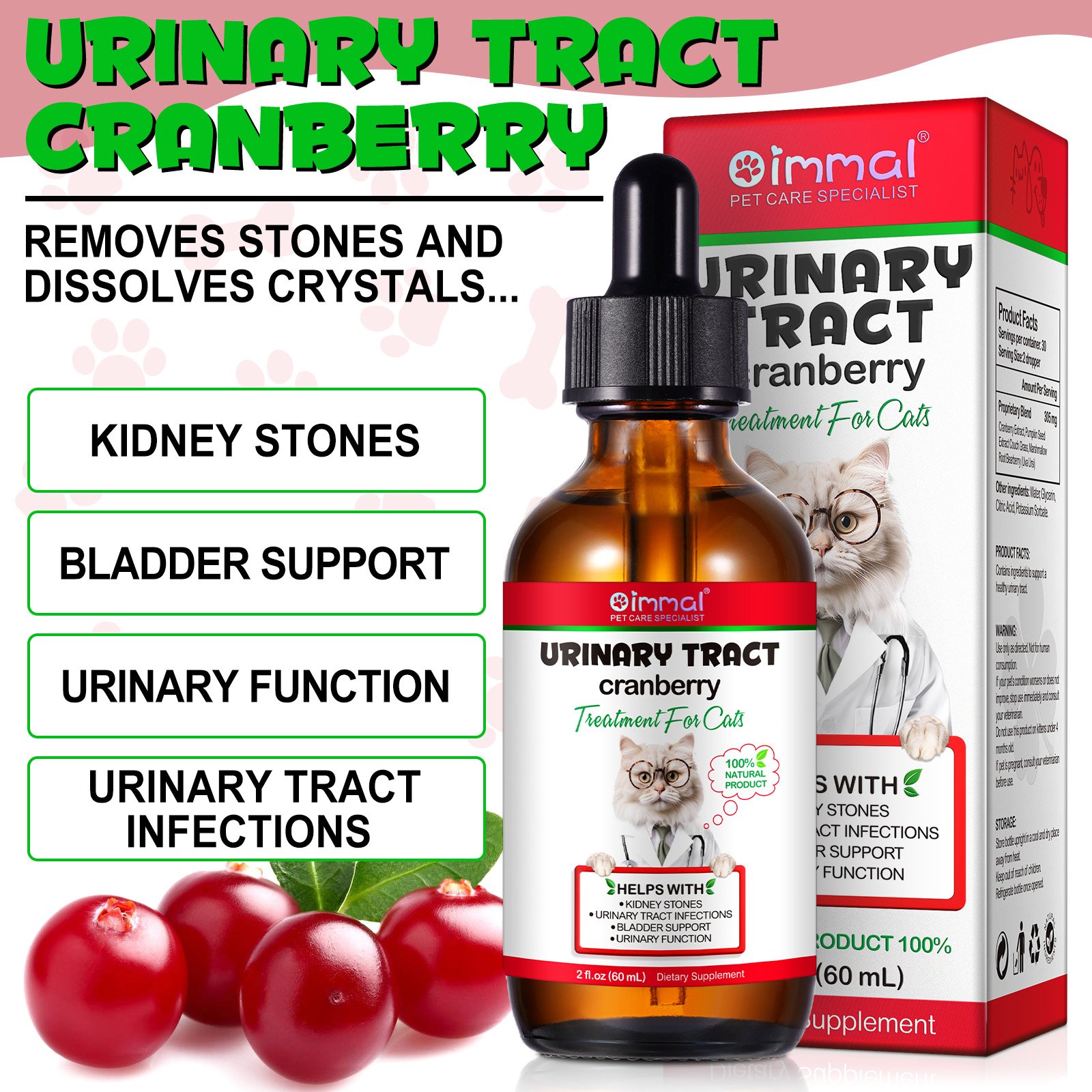 Cat Urinary Track - Image 10