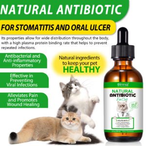 Antibiotic For Cats