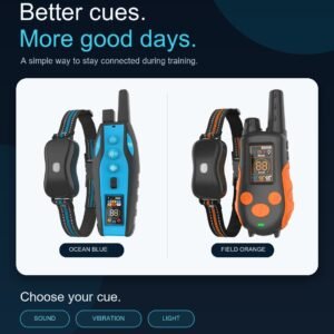 Dog Training Collar