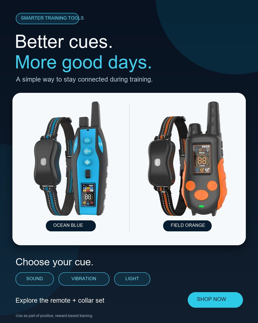 Dog Training Collar