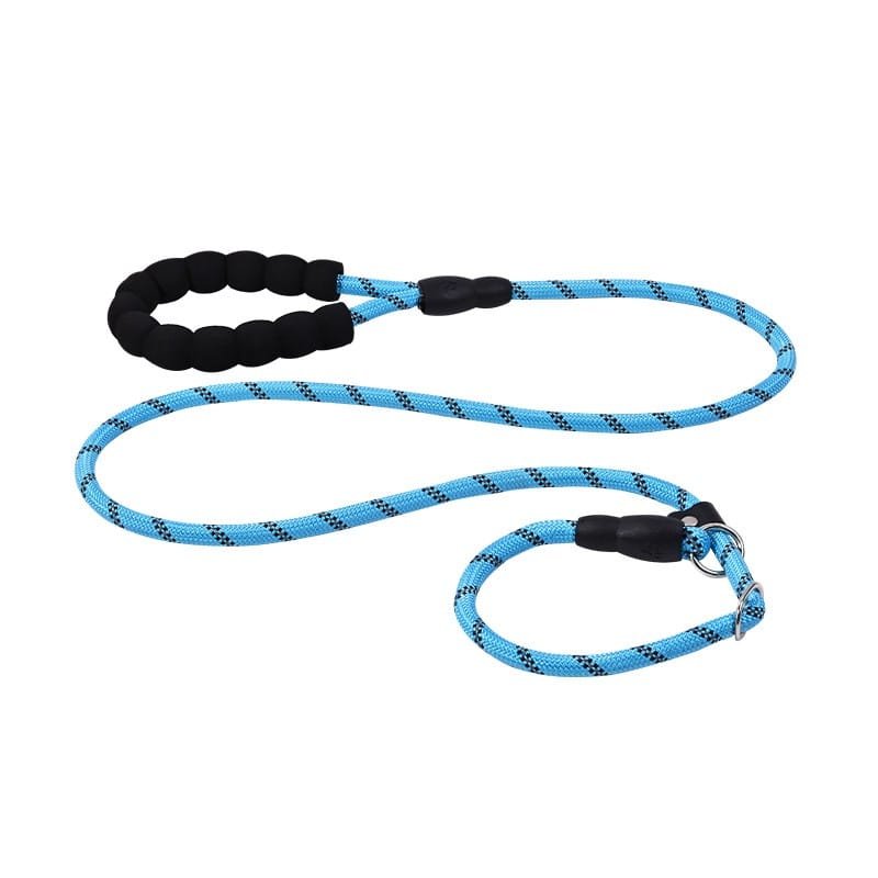 Dog Lead - Image 10